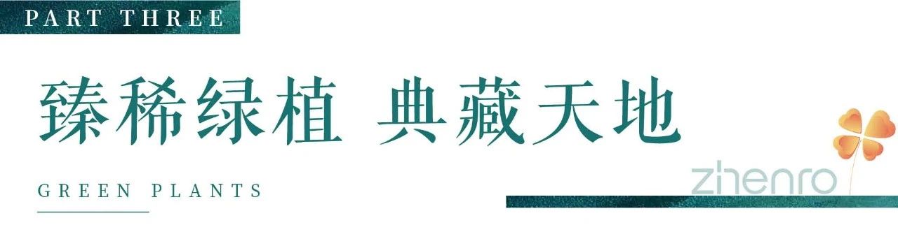 美好更好之景观 | 这些优质景观，让洋房更“有范儿”