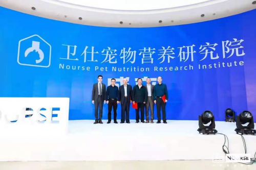卫仕×胡歌广告“出圈”：宠物品牌做营销，背后深意令人深思